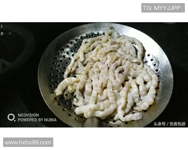 足球焖当的独特魅力与美味制作方法分享